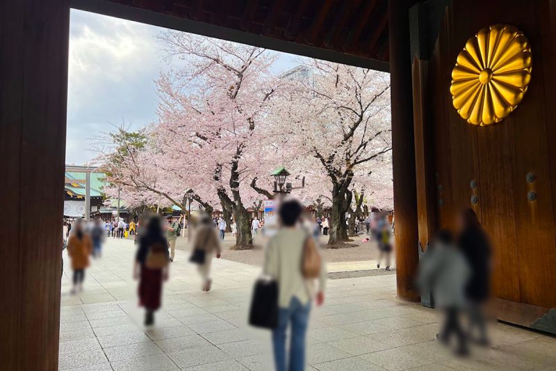 靖国神社の桜も綺麗。一緒に見るべきです。