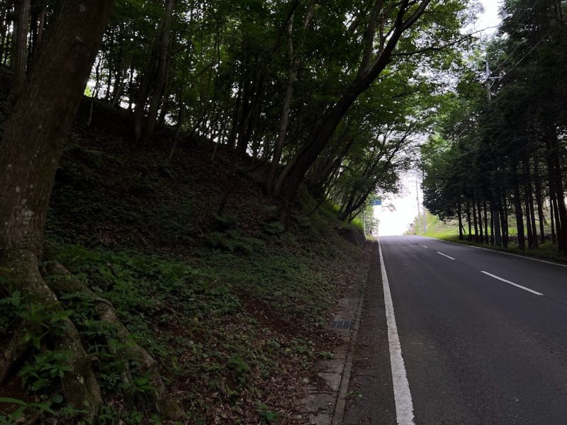 栃木県茂木町　森でミヤマクワガタ捜索。良い森だなあ